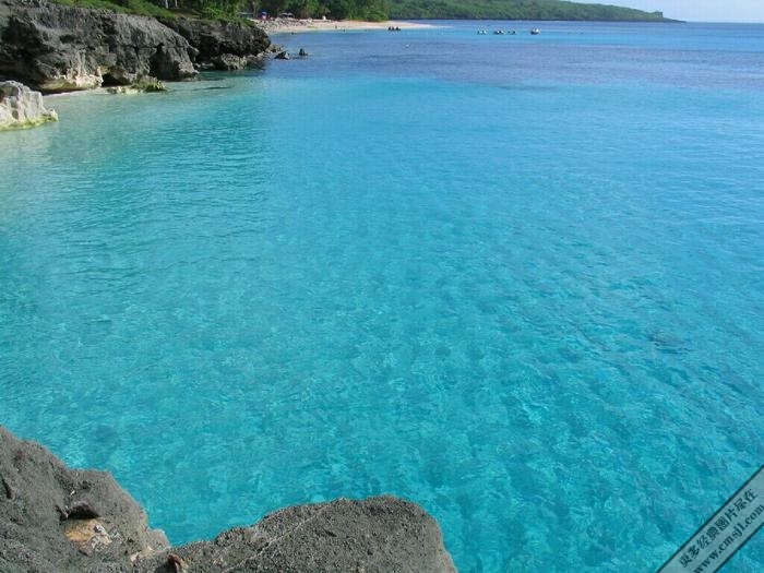 ������̲����������ֽ