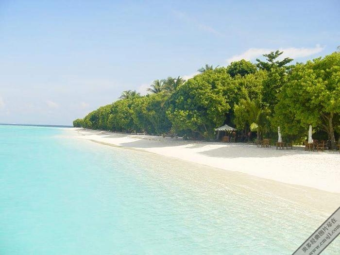 ������̲����������ֽ