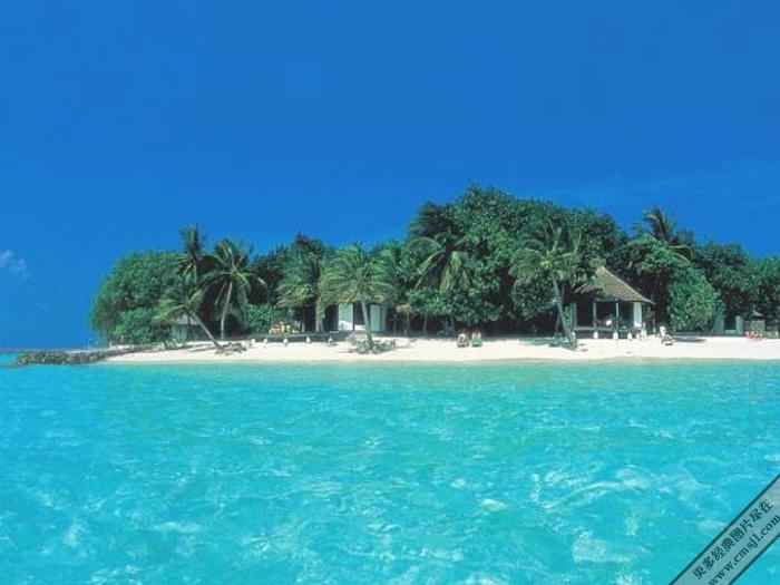 ������̲����������ֽ