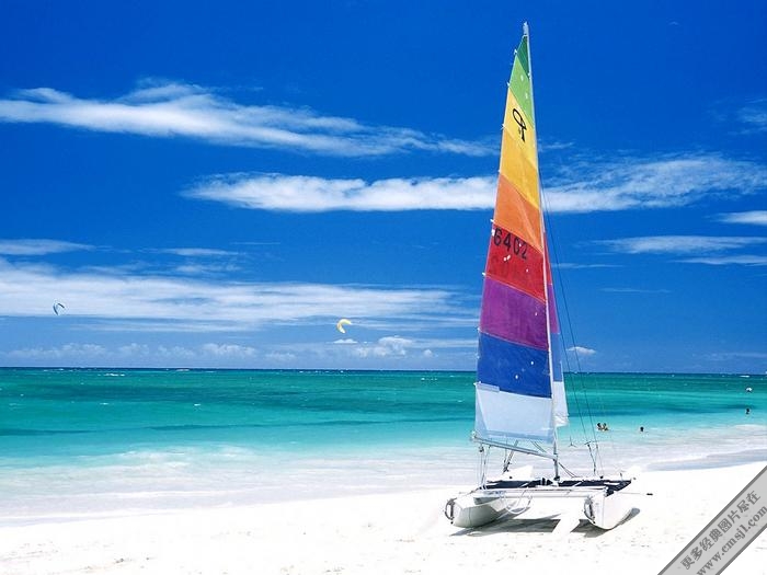 ������̲����������ֽ