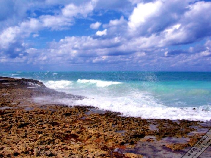 ������̲����������ֽ