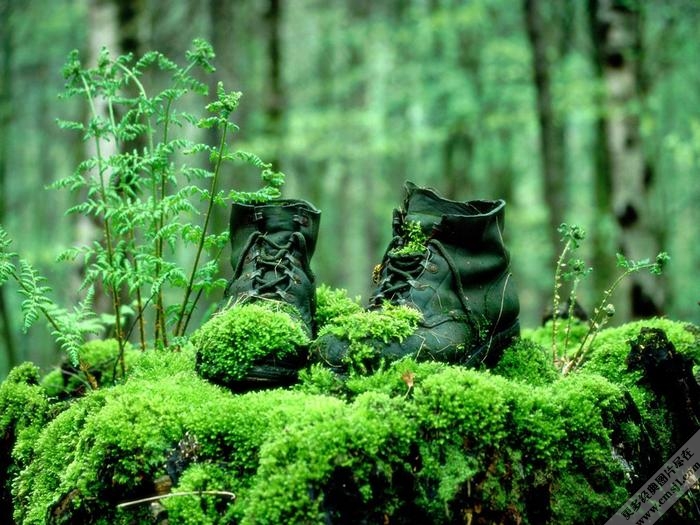 ��Ȼ�羰��ֽ