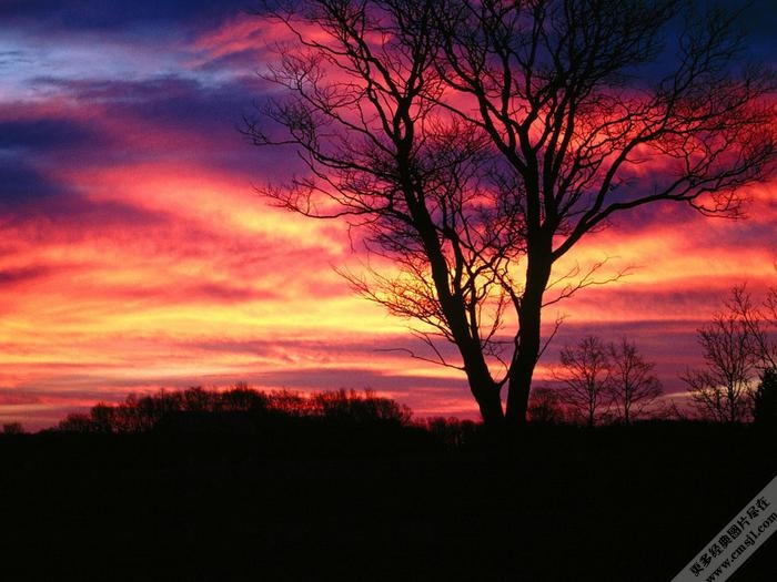 ��Ȼ�羰��ֽ