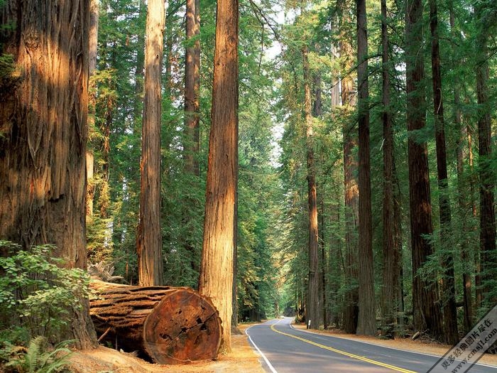 ��Ȼ�羰��ֽ