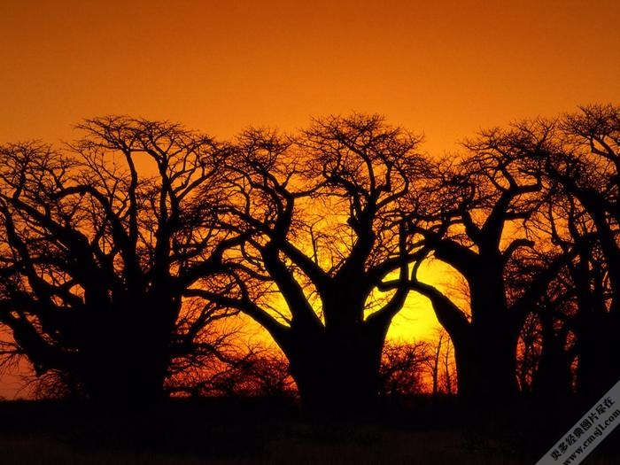 ��Ȼ�羰��ֽ