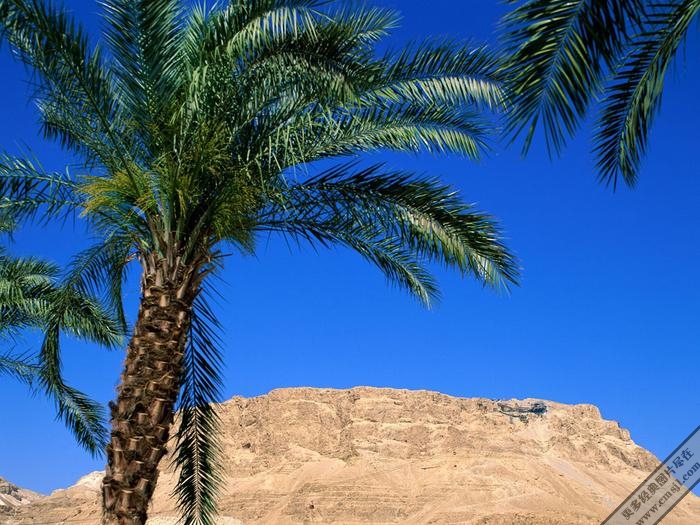 ��Ȼ�羰��ֽ