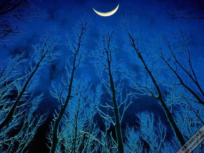 ��Ȼ�羰��ֽ