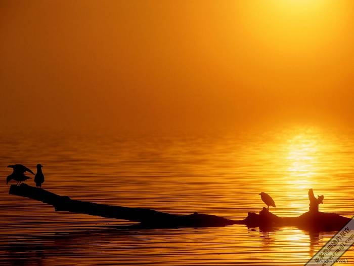 �ճ�����