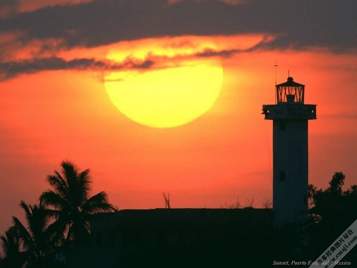 �ճ�����