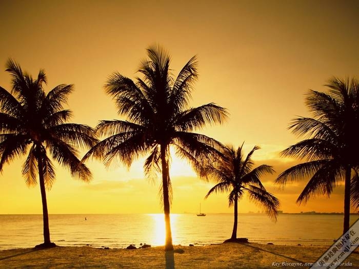 �ճ�����