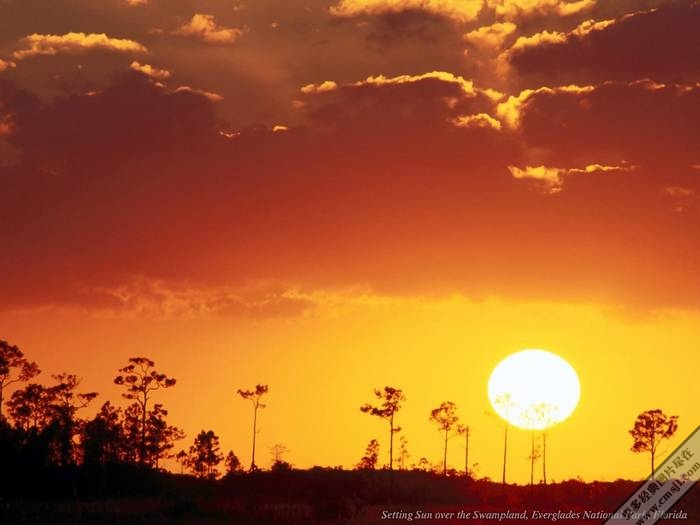 �ճ�����