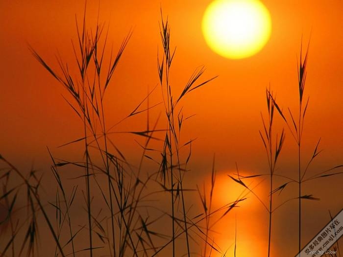 �ճ�����