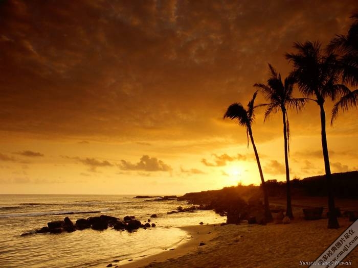 �ճ�����