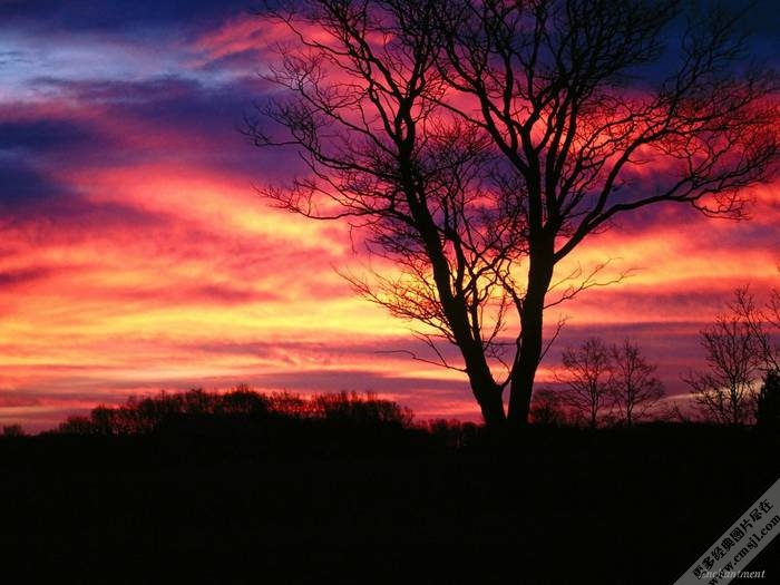 �ճ�����