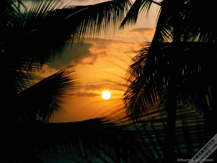 �ճ�����