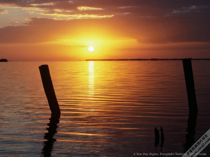 �ճ�����