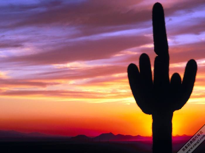 �ճ�����