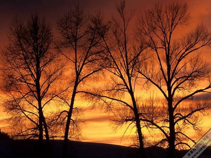 �ճ�����