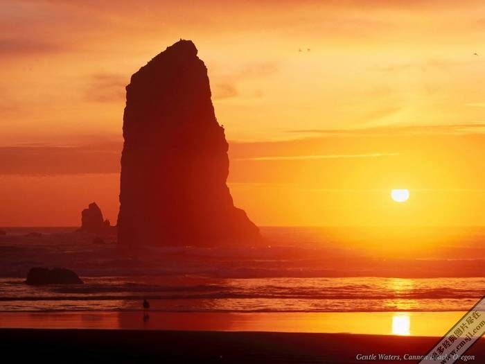 �ճ�����