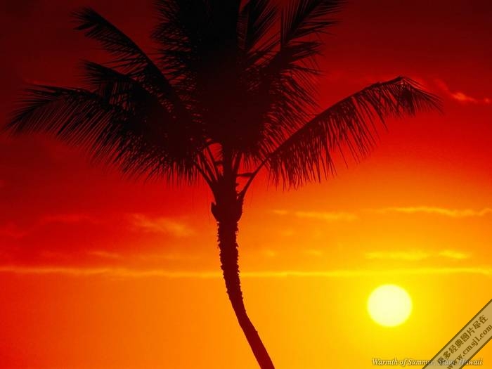 �ճ�����