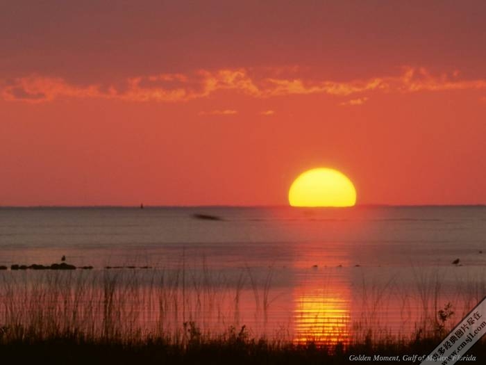 �ճ�����