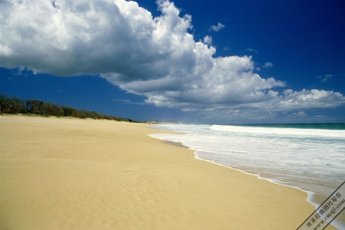 ����Ѥ���ĺ�̲