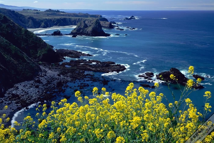 ����Ѥ���ĺ�̲