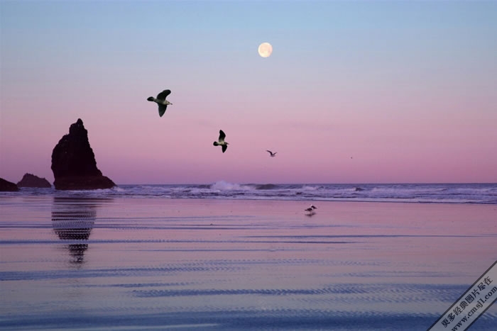 ����Ѥ���ĺ�̲