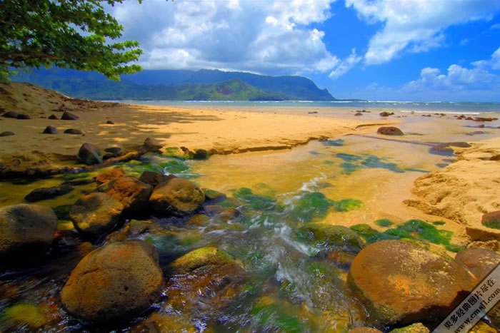 ����Ѥ���ĺ�̲