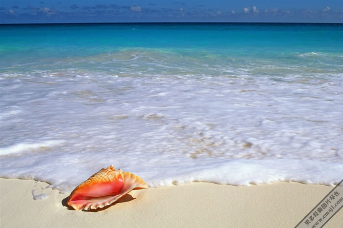 ����Ѥ���ĺ�̲