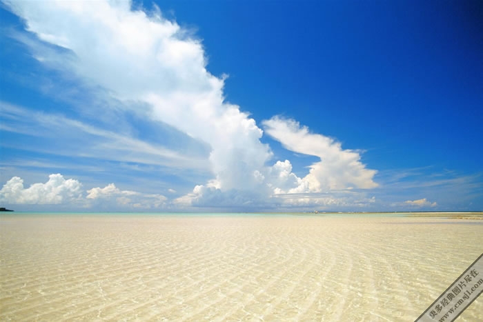 ����Ѥ���ĺ�̲