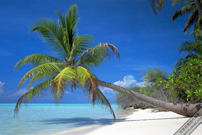 Ҭ������