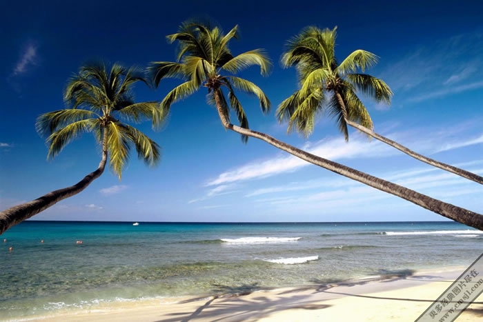 Ҭ������