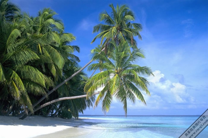 Ҭ������