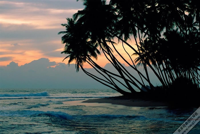 Ҭ������