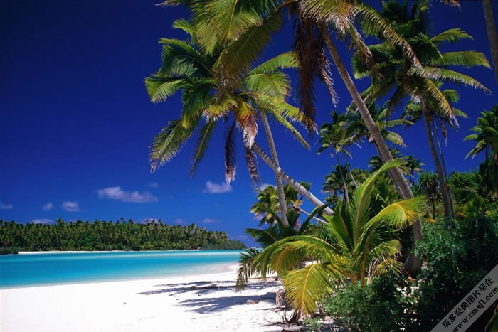 Ҭ������