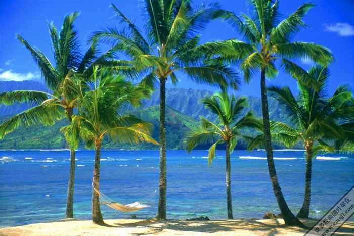 Ҭ������