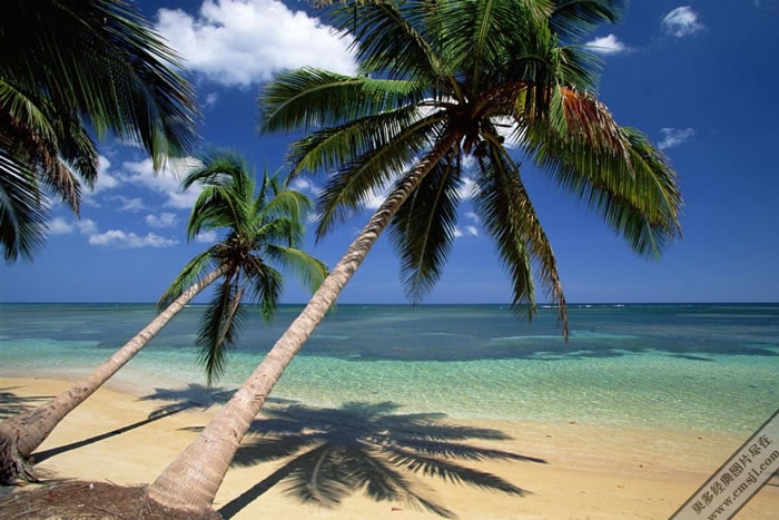 Ҭ������