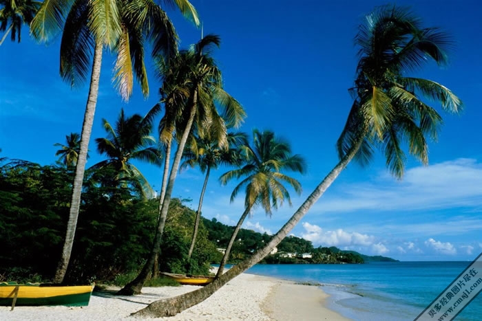 Ҭ������