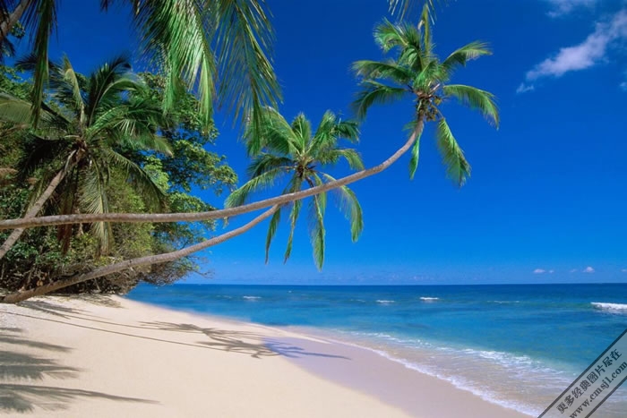 Ҭ������