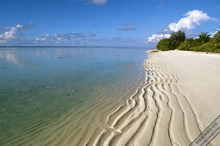 ��̲����