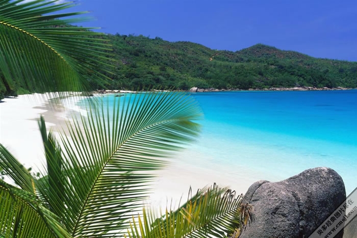 ��̲����