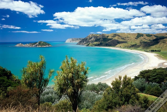 ��̲����