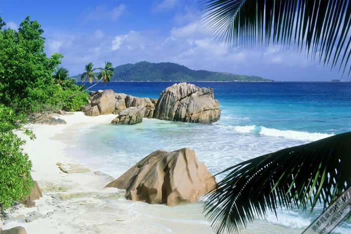 ��̲����