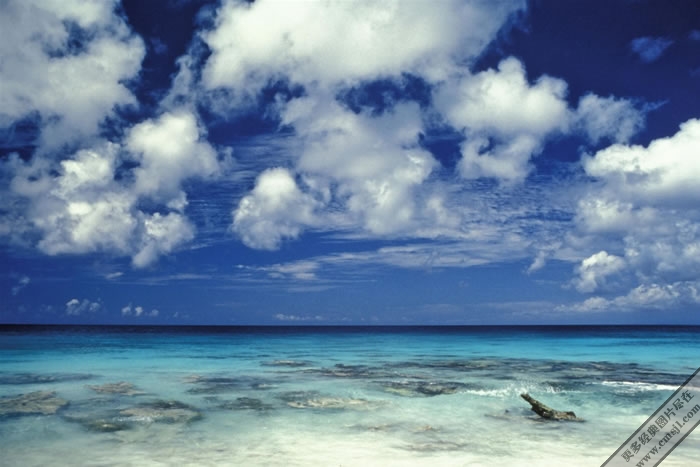 ��̲����