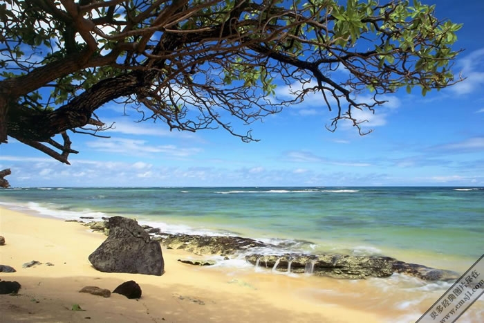 ��̲����