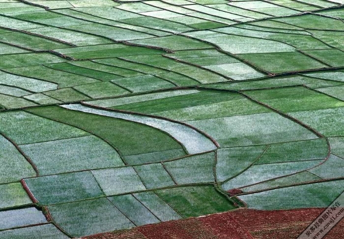 ������ͼ