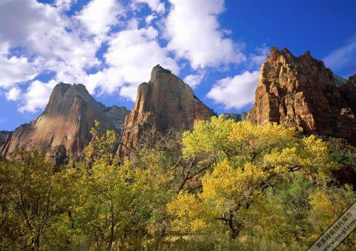 ������ͼ