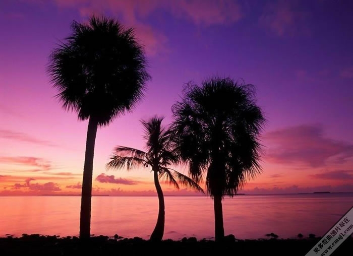 ��һ�������