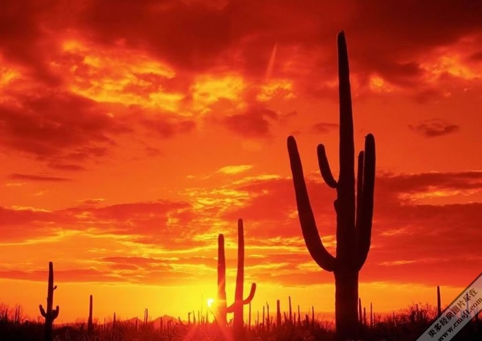 ��һ�������